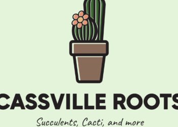 Cassville Roots